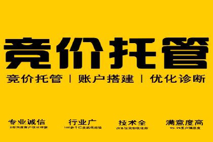 开户返点模式在电商行业的成功案例