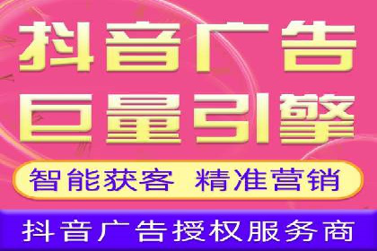 顶级SEM运营公司案例分析